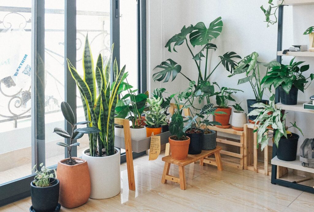 Bringing Nature Indoors: Modern Home Greenery Trends